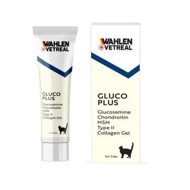 Wahlen Vetreal Gluco Plus Paste
