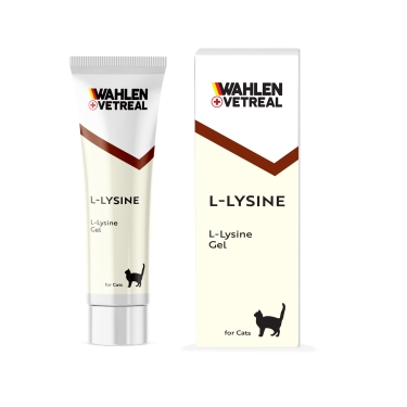 Wahlen Vetreal Felılysıne Paste