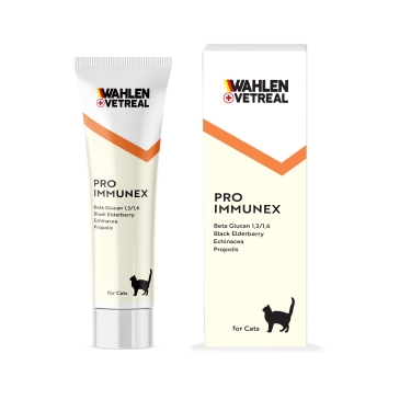 Wahlen Vetreal Pro Immunex Paste