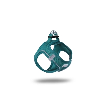 Köpek Gögüs Tasma+gezdirme Xl